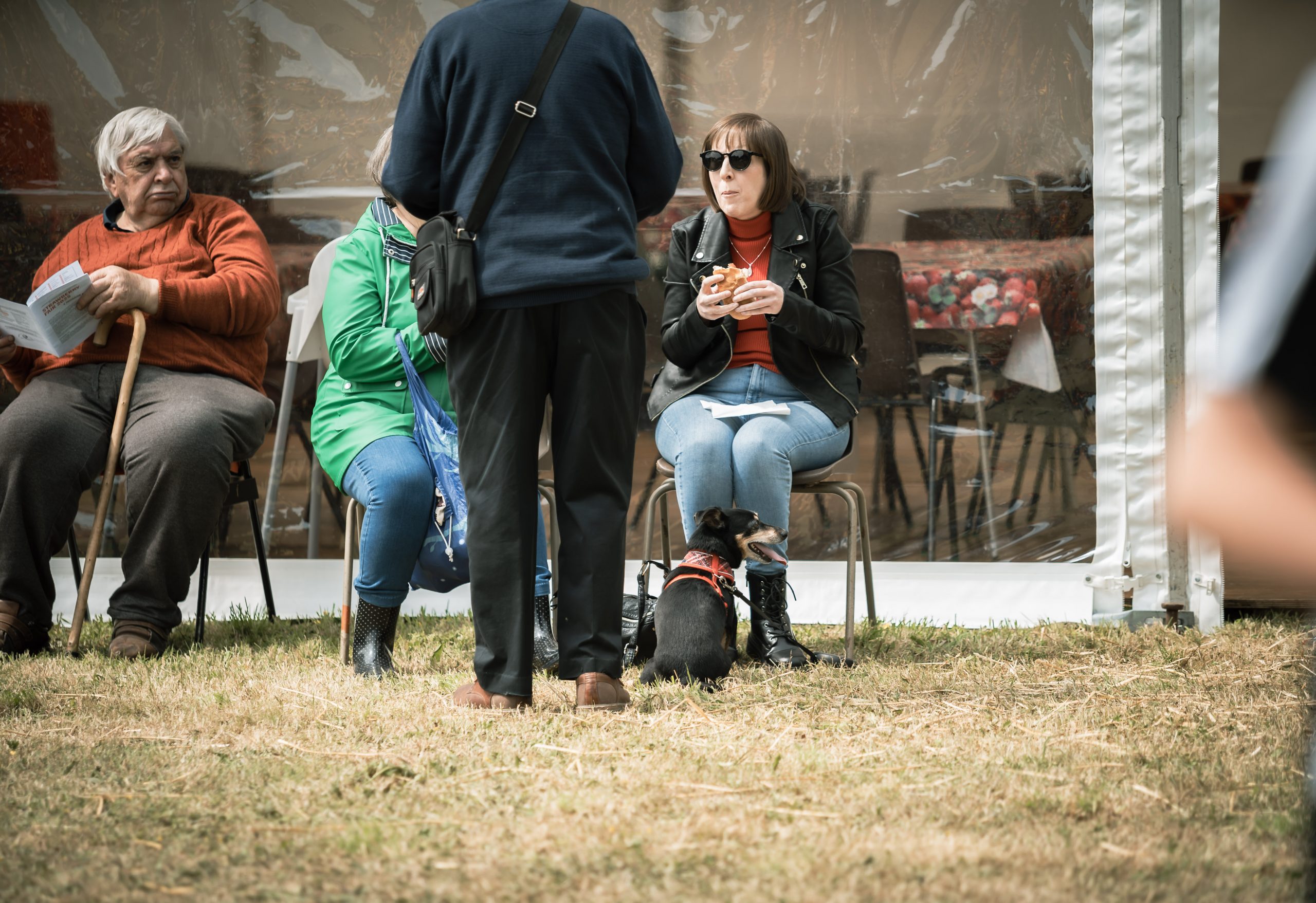 Tea Tent 2